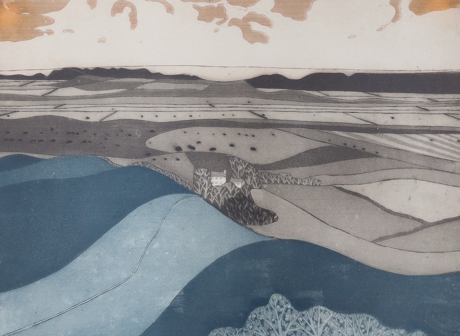 John Brunsden (1933-2014), aquatint, View from Pilsden Pen, signed and dated '77, 116/150, 45 x 60cm, water damage to the margins